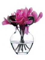 43206 Ваза Ботаніка