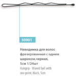 50901 Невидимка