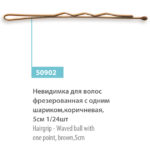 50902 Невидимка