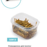 50913 Невидимка