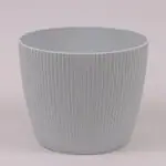 гірчичний