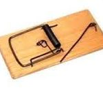 Мишеловка дерево мала