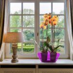 633 Горщик Луна фіолетовий прозорий #