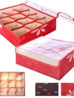 17466 Коробка-органайзер для зберігання білизни 12відд. 31*24*11 Stenson