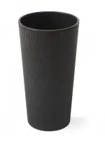 білий