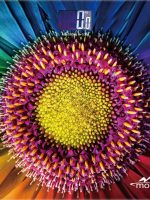 6011-8 Вага ел. 26*26 Monte