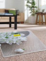 MR-1819 Вага  (підлогова/електрон.) Maestro