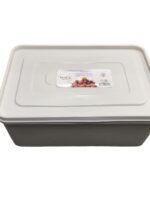 VC-300 Лоток-контейнер 2л