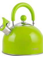 WK-4430 BCSG Чайник нержавійка 3л Euphoria Holmer #