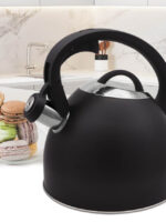 MR-1325 Чайник 2.5л Rainbow емаль Maestro