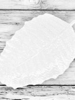 4555-11 Блюдо порцеляна Лист 28см Stenson