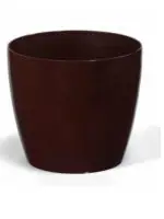 мокко