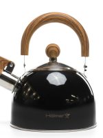 WK-4315 WCSB Чайник нержавійка Euphoria Holmer #