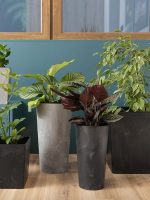 536 Горщик Лілія 250мм з вкладом ЕКО-чорний бетон #