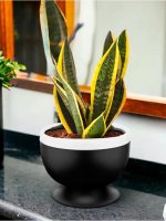 10/22 Горщик для квітів GUVVECH круг 1,1л