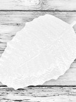 4555-15 Блюдо порцеляна Лист 38,5*26*3,5 Stenson