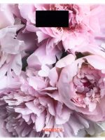 SCB-965 Вага Peonies Ardesto #