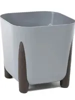 сірий
