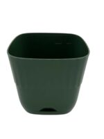 1542 Горщик Еріка 220 42-зелений лісовий
