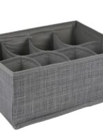 100564 Коробка-органайзер для зберігання білизни 8відд. 32*24*12см  Stenson