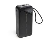 Павербанк NRG-02 Cheetah 30000 mAh 22,5W з швидкою зарядкою USB/Type-C (Black) Holmer #